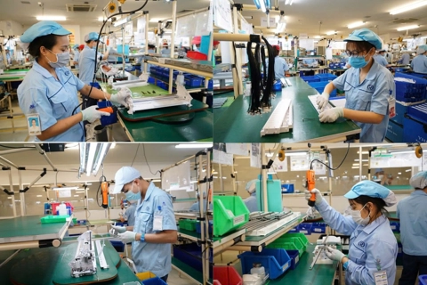 Vai trò của lực lượng doanh nhân trong bảo vệ nền tảng tư tưởng của Đảng
