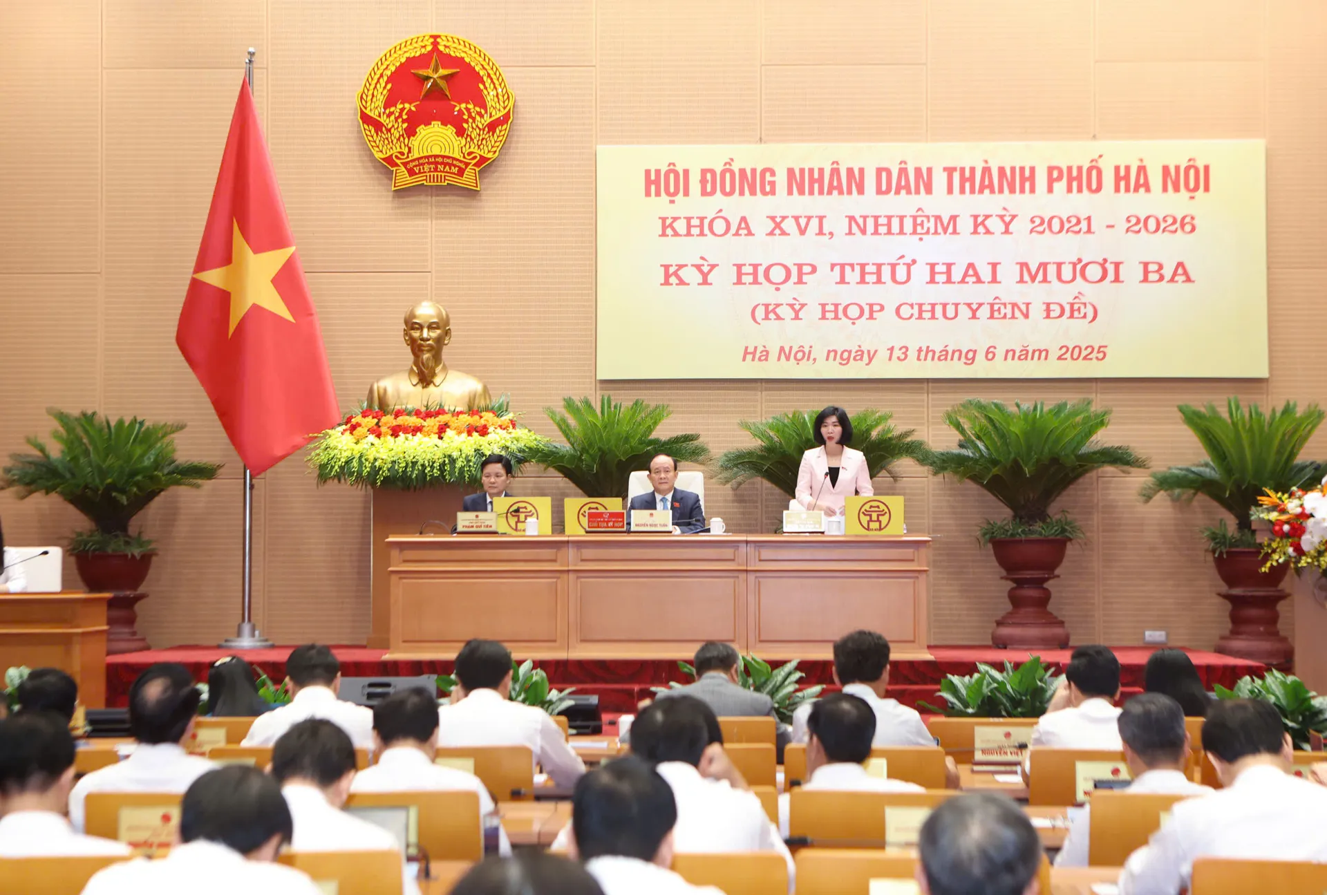 Hình ảnh 3