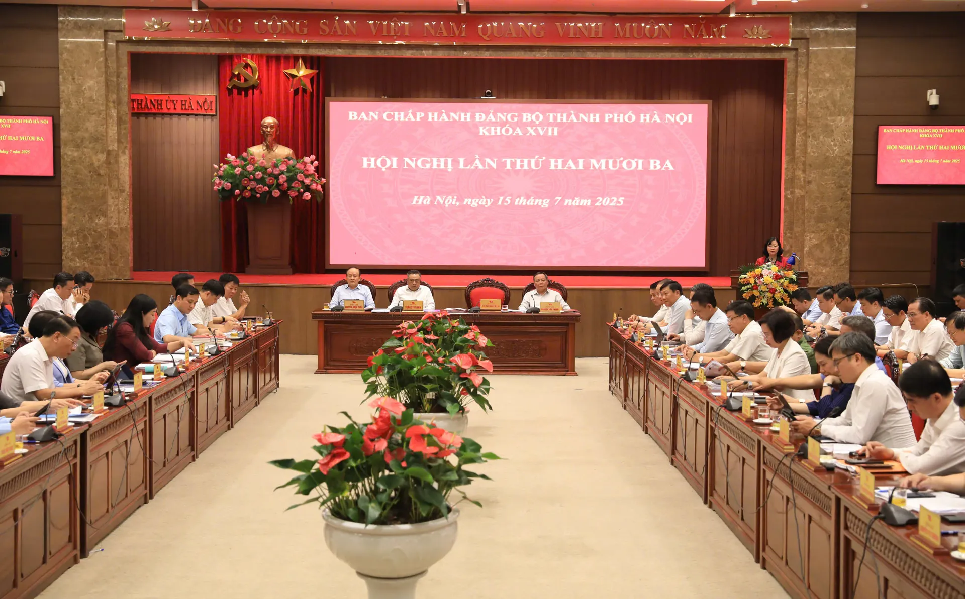 Hình ảnh 3