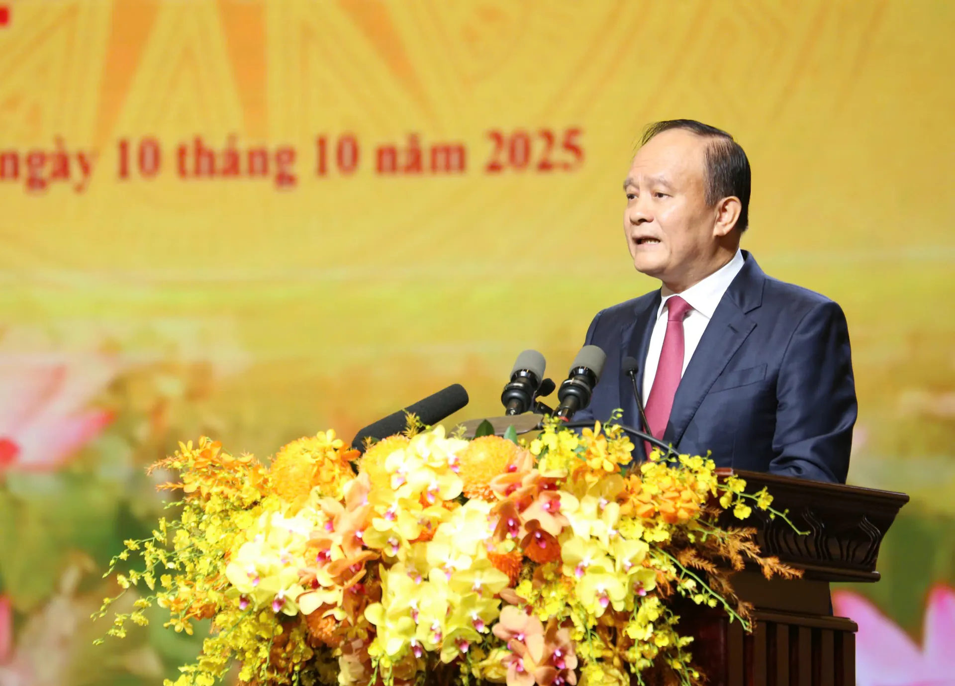 Hình ảnh 13