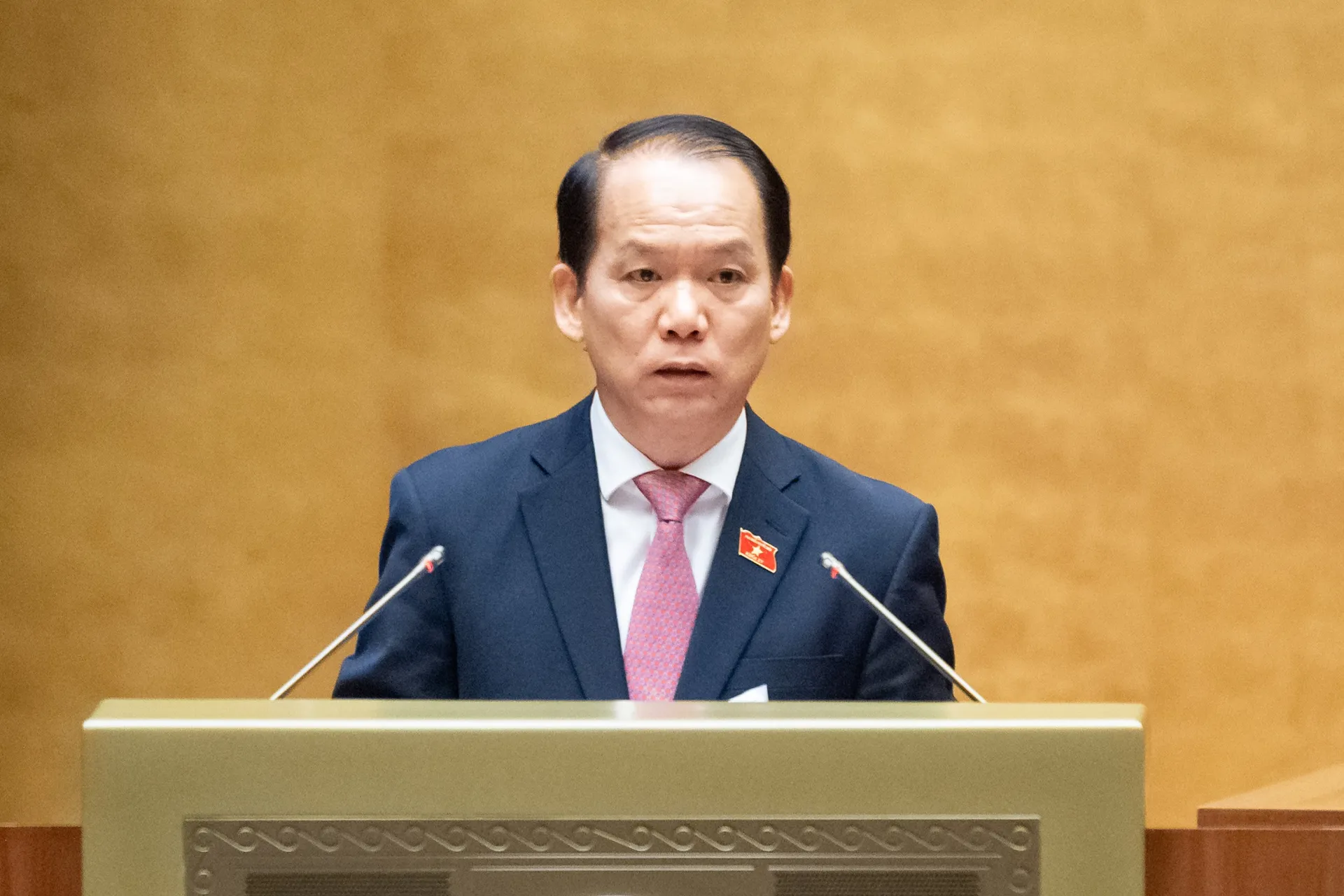 Hình ảnh 2