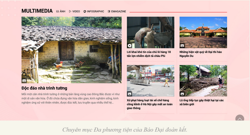 Hình ảnh 5