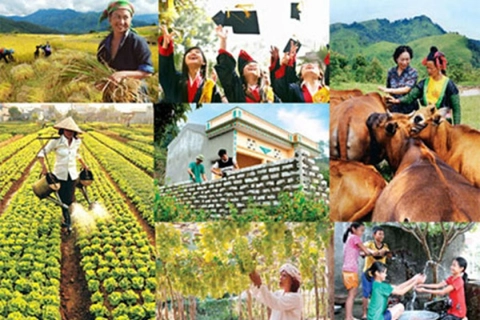 Thành lập Ban Chỉ đạo Trung ương các chương trình mục tiêu quốc gia giai đoạn 2021 - 2025
