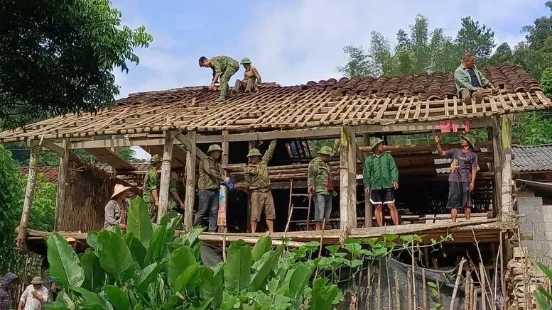 Hình ảnh 1