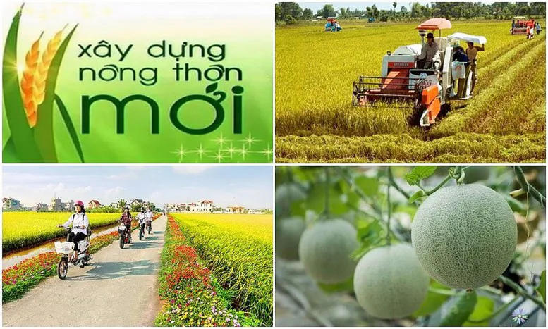 Thực hiện "4 đẩy mạnh", "3 tiên phong" để đạt mục tiêu nông nghiệp sinh thái, nông thôn hiện đại