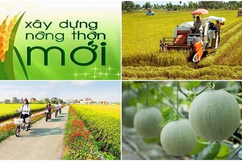 Thực hiện "4 đẩy mạnh", "3 tiên phong" để đạt mục tiêu nông nghiệp sinh thái, nông thôn hiện đại