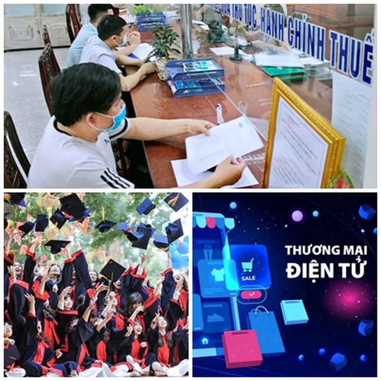 Hình ảnh 1