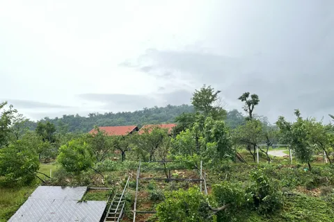 Hà Nội trích Quỹ Cứu trợ hỗ trợ 5 tỉnh khắc phục hậu quả bão số 10
