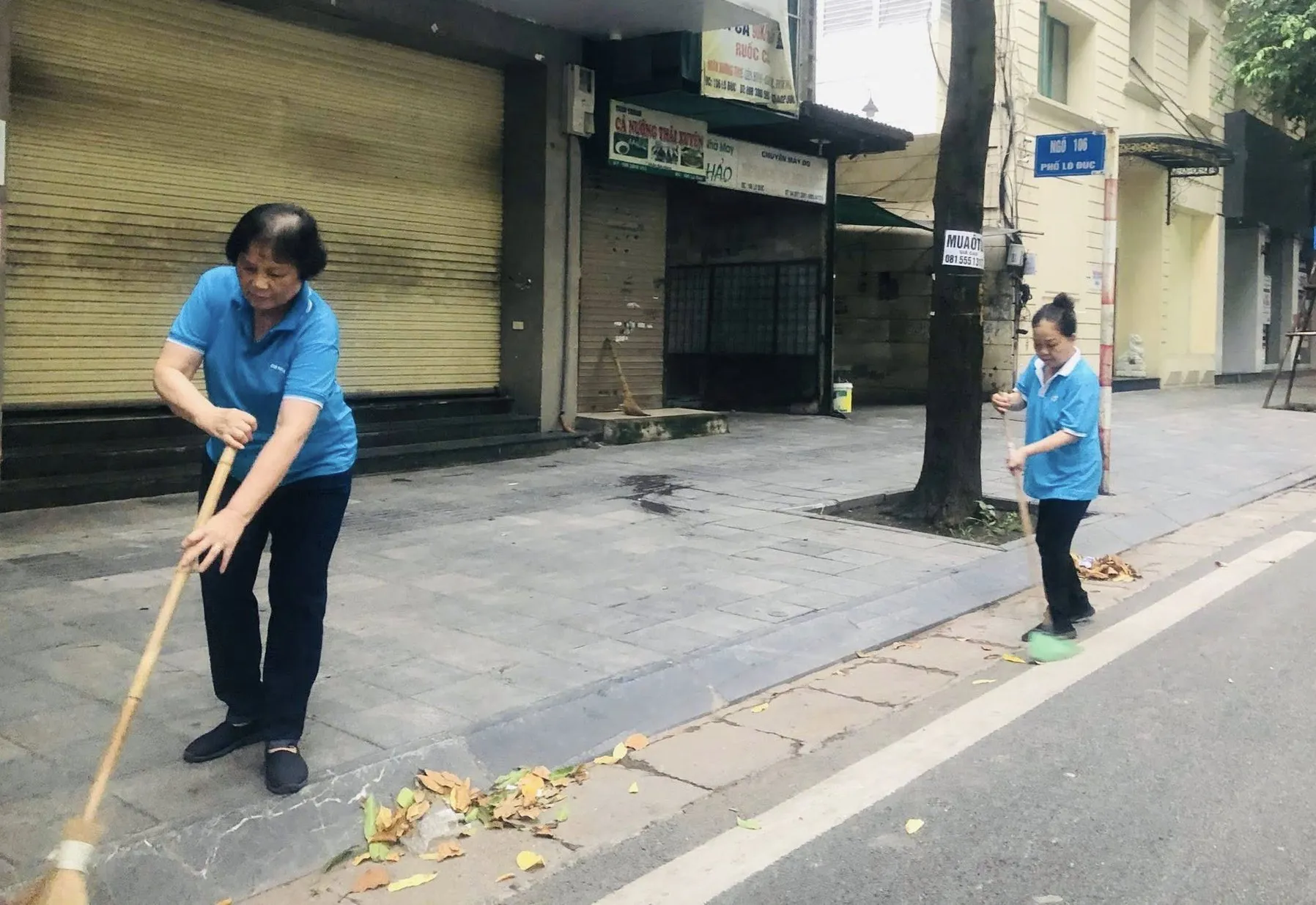 Hình ảnh 2