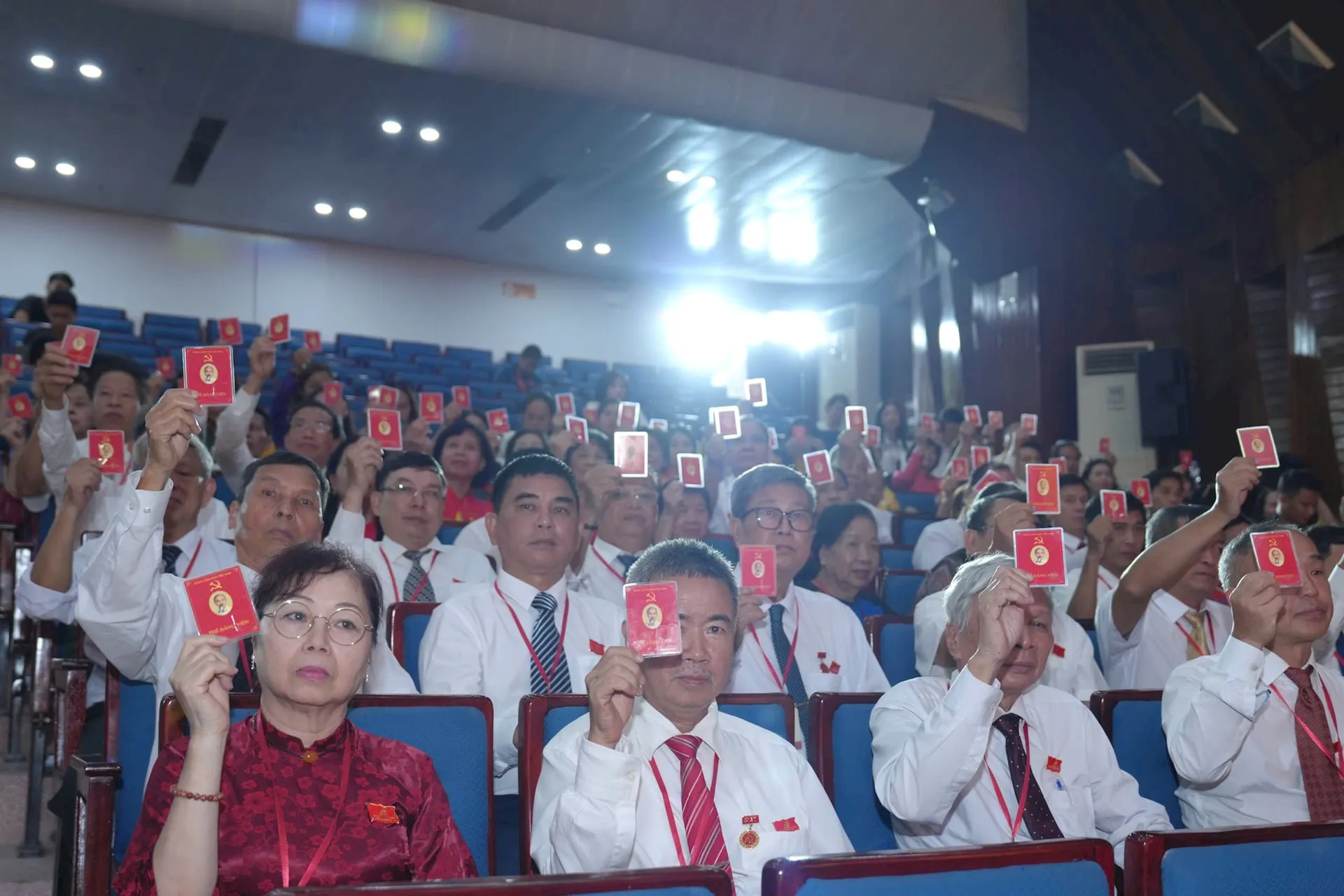 Hình ảnh 10