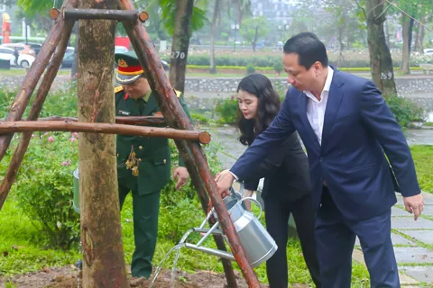 Phường Hai Bà Trưng phát động Tết trồng cây: nhiều hoạt động thiết thực phát triển đô thị xanh