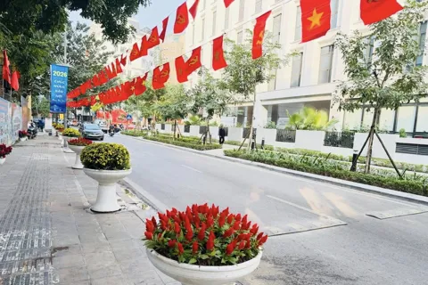 Phát động Cuộc thi ảnh góp phần lan tỏa sắc Xuân phường Hai Bà Trưng