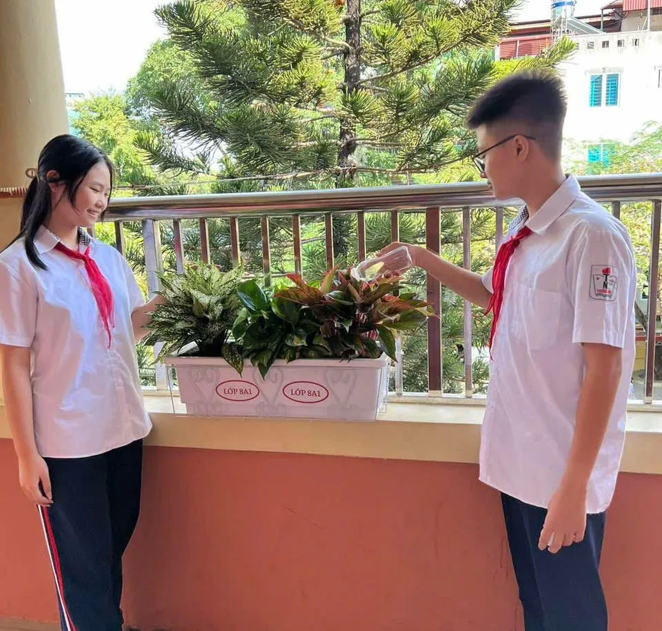 Quận Hai Bà Trưng xây dựng “trường học xanh” bắt đầu từ những điều giản dị