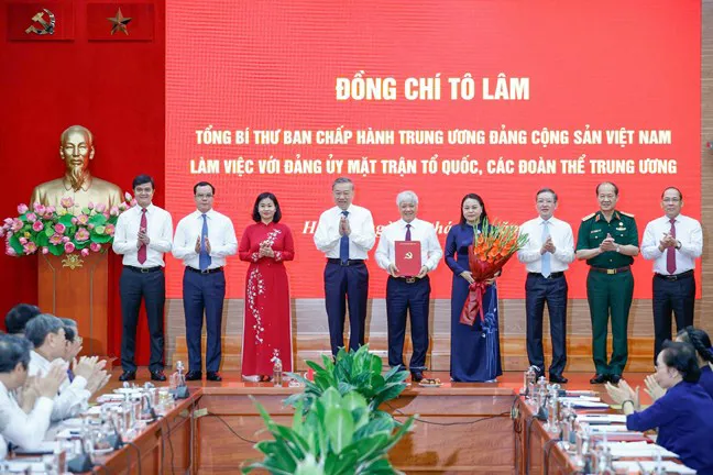 Hình ảnh 2