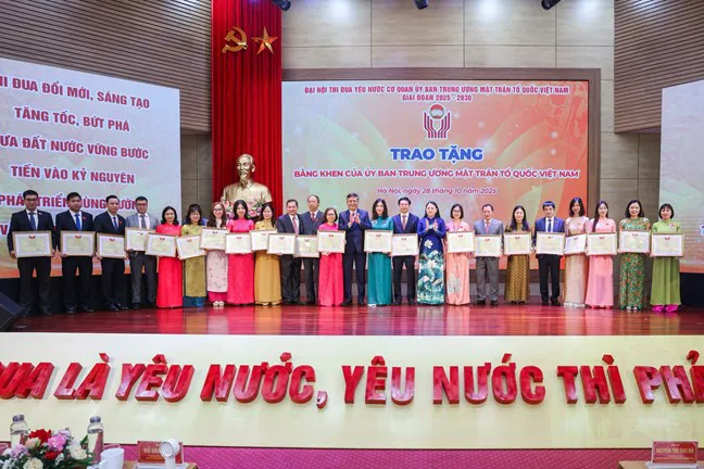 Hình ảnh 5