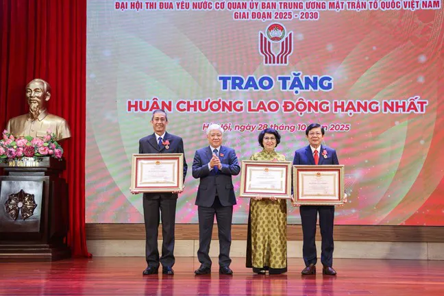 Hình ảnh 4