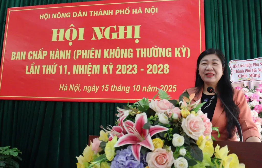 Hình ảnh 1