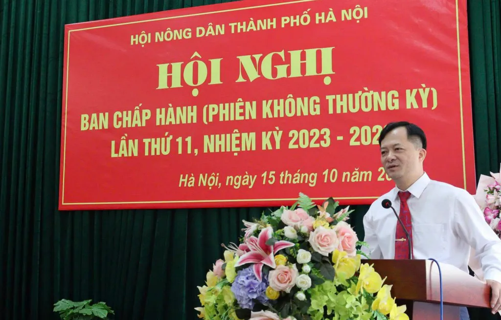 Hình ảnh 5