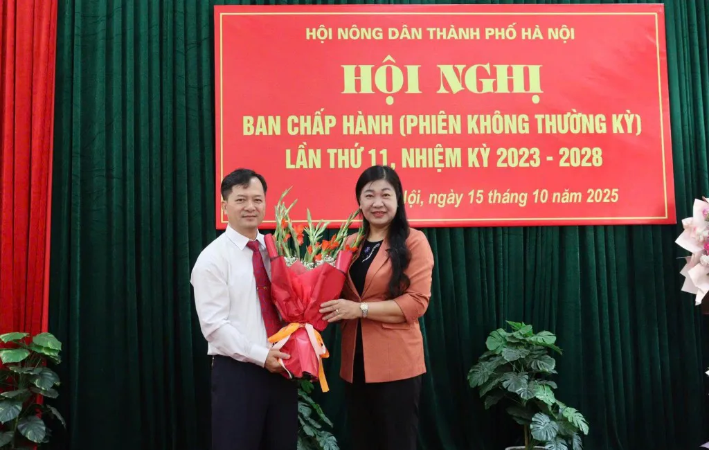 Hình ảnh 3