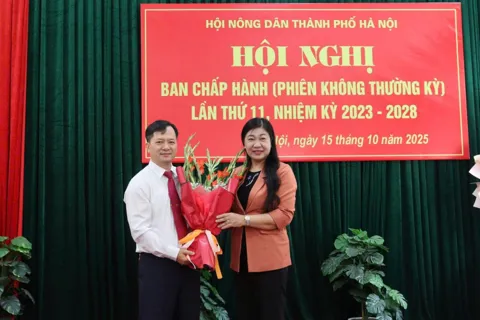 Hà Nội: kiện toàn chức danh Phó Chủ tịch Hội Nông dân Thành phố