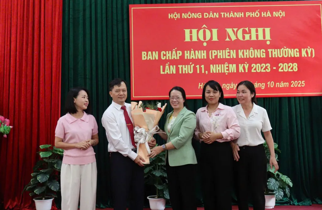 Hình ảnh 4