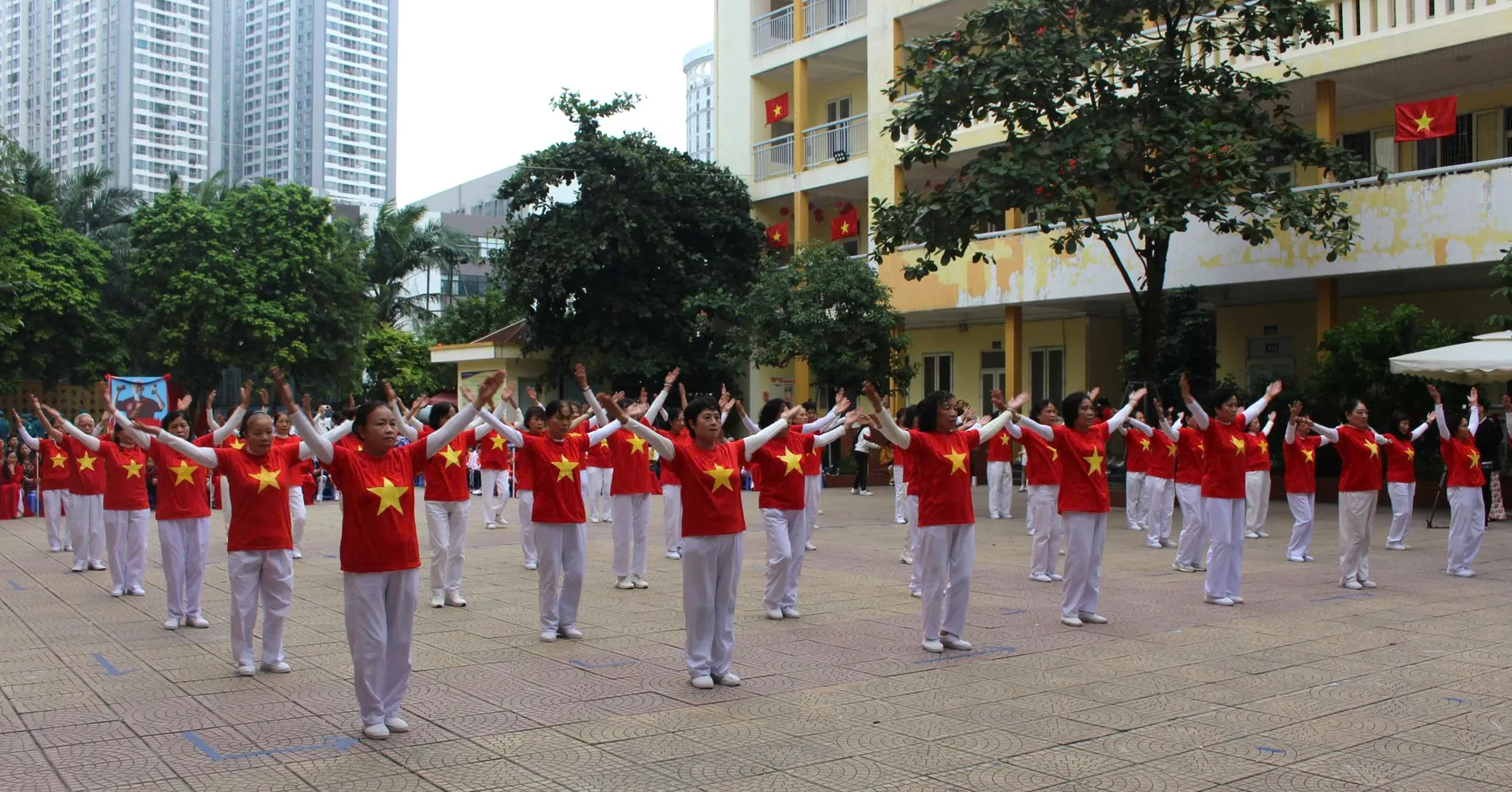 Hình ảnh 10