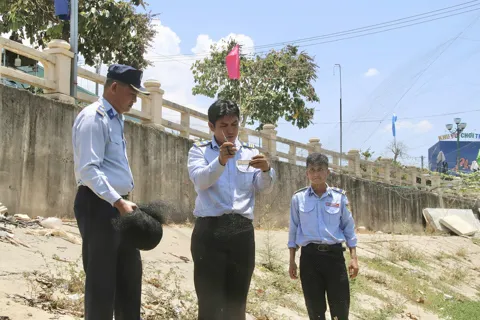 Bảo vệ quần thể chim yến – gìn giữ tài nguyên thiên nhiên và thương hiệu quốc gia