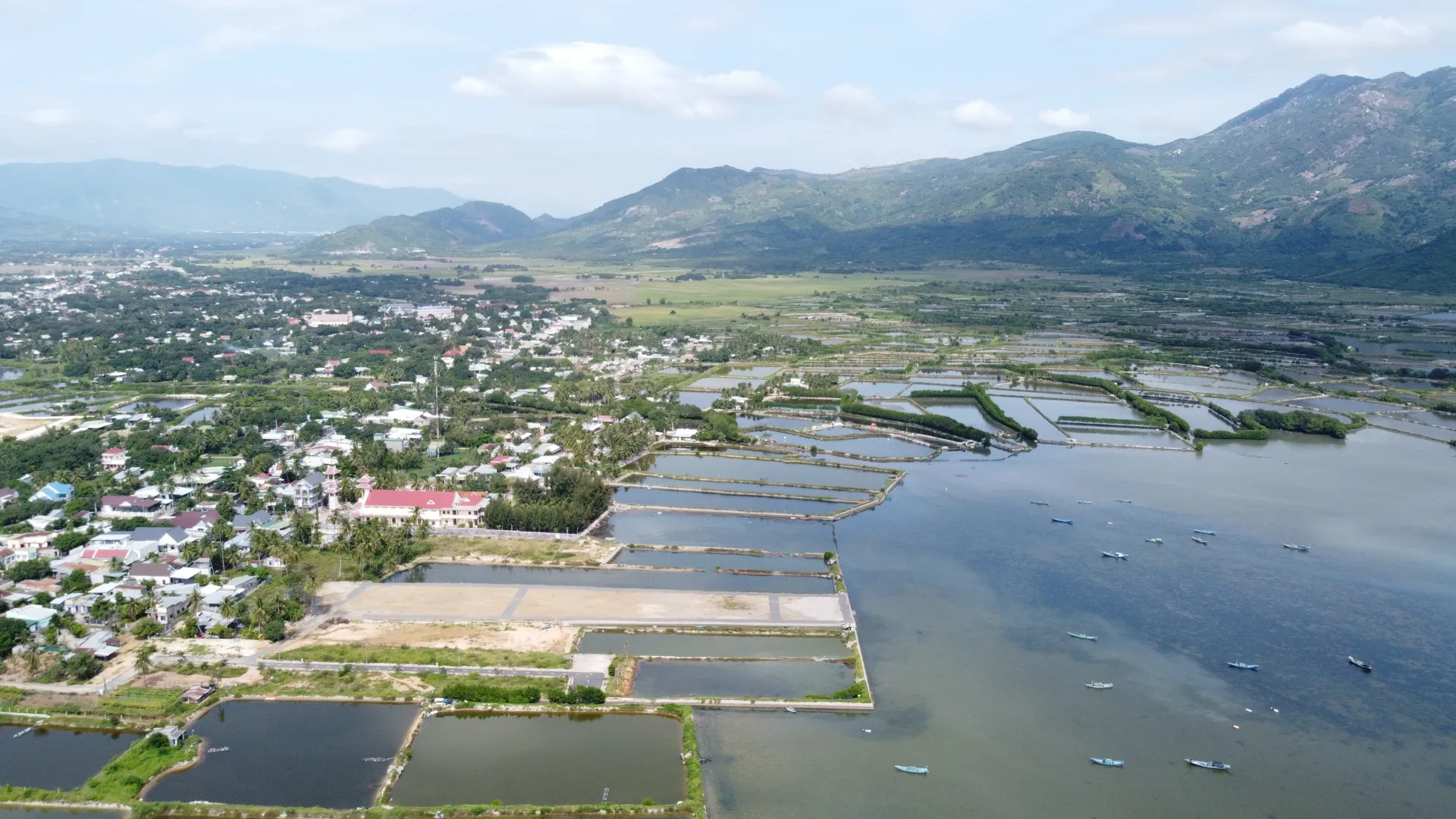 Hình ảnh 2