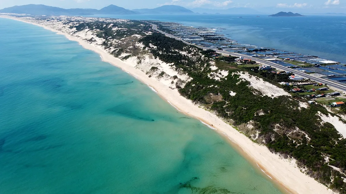 Hình ảnh 1
