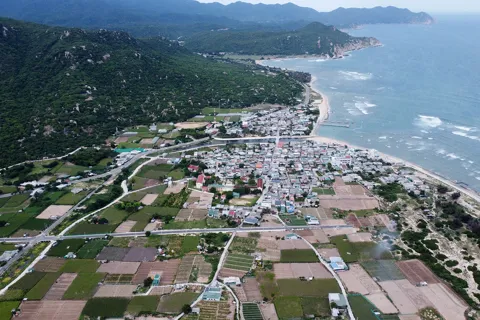 Tập trung giải phóng mặt bằng, bảo đảm tiến độ dự án điện hạt nhân Ninh Thuận
