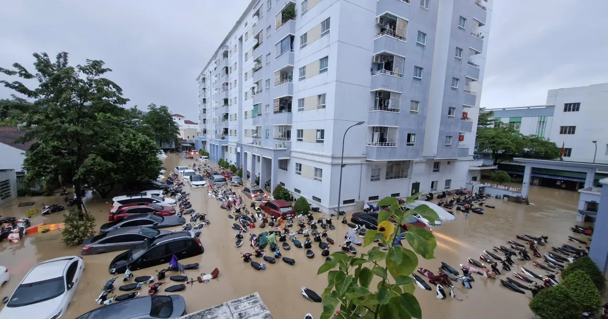 Kinh tế Khánh Hòa tăng trưởng ổn định, nỗ lực vượt khó do mưa lũ cuối tháng 11 - Báo Kinh tế đô thị