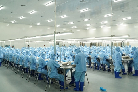 Doanh thu Yến sào Khánh Hòa đạt gần 13.000 tỷ đồng giai đoạn 2020-2025