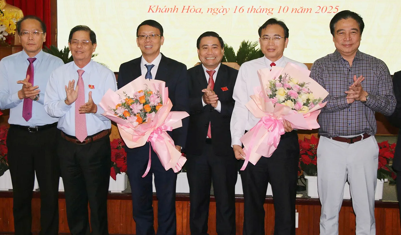 Hình ảnh 2
