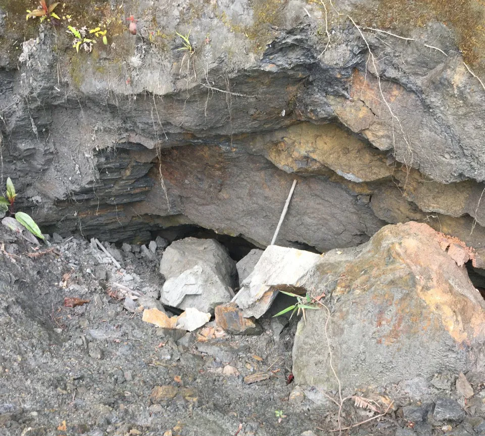 Hình ảnh 1