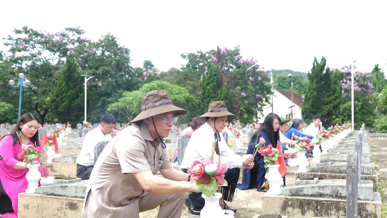 Hình ảnh 2