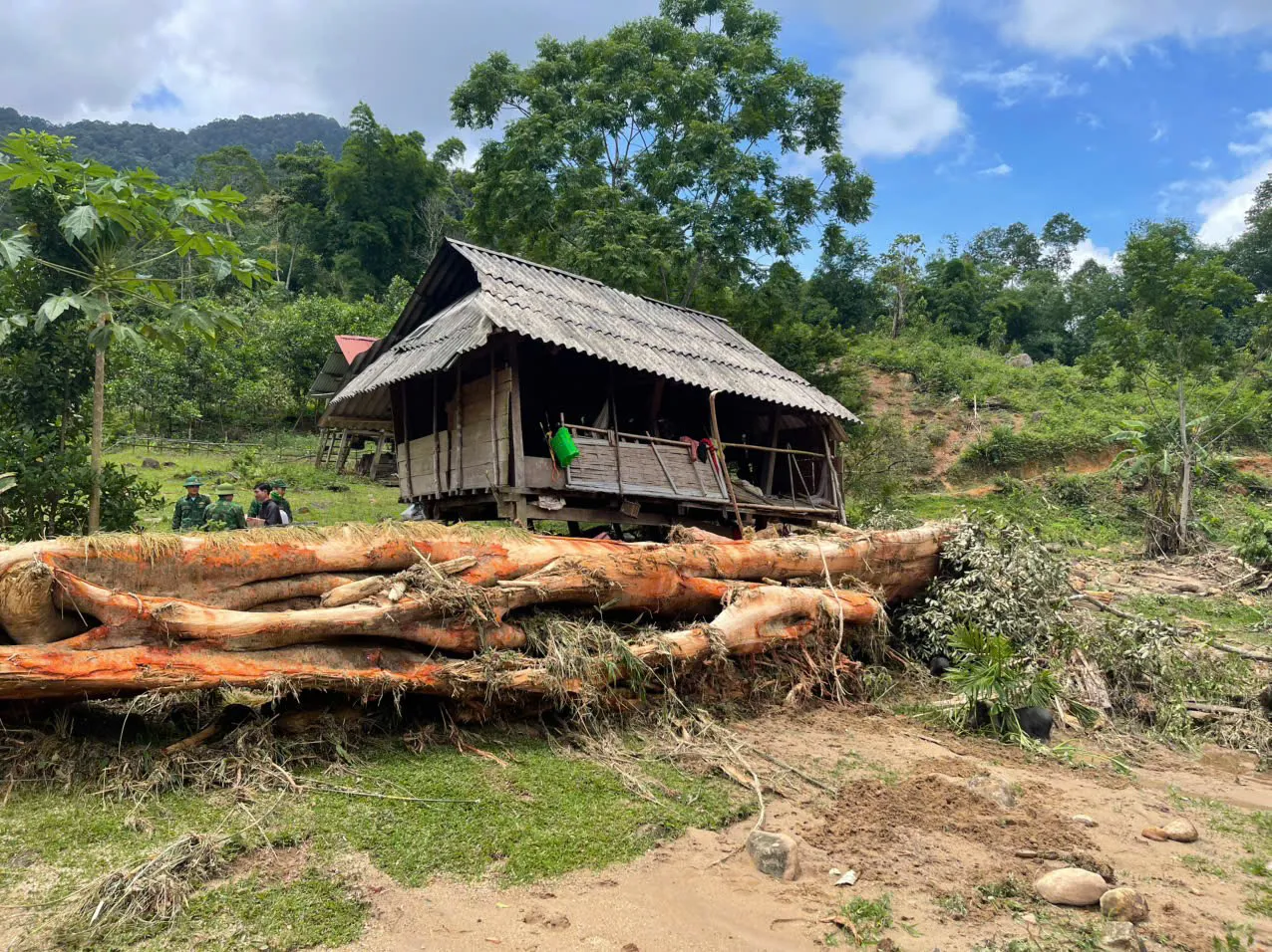 Hình ảnh 7