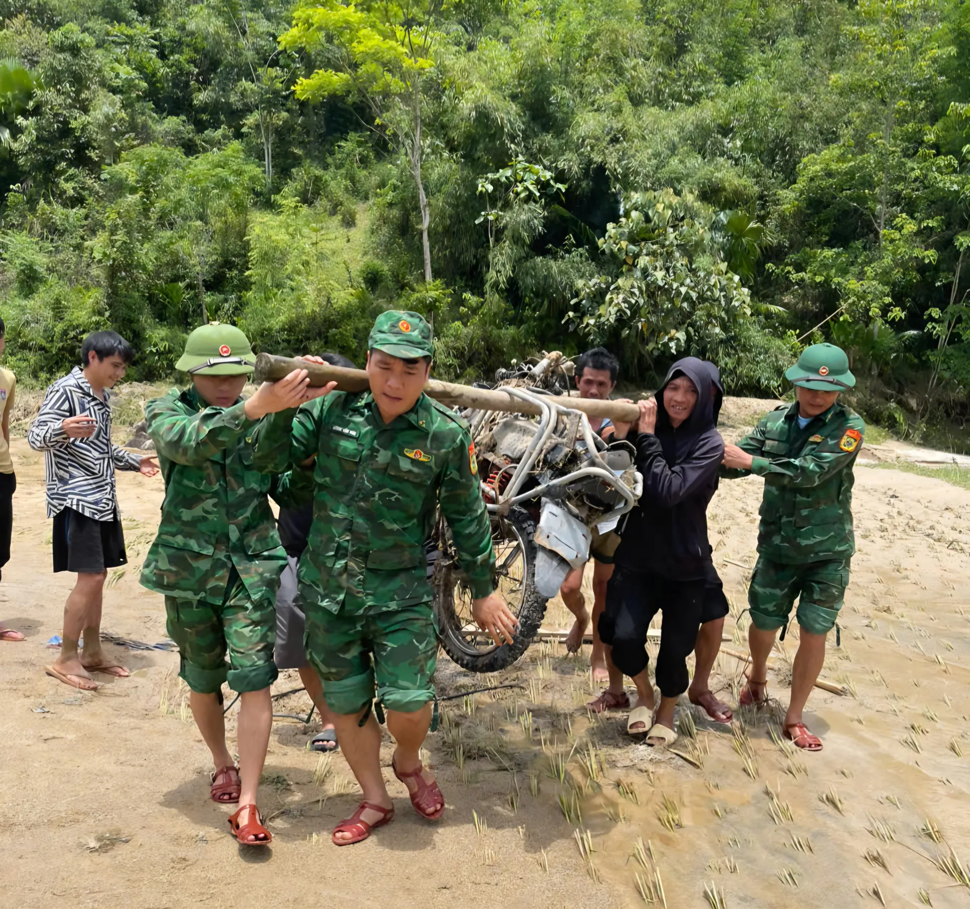 Hình ảnh 8