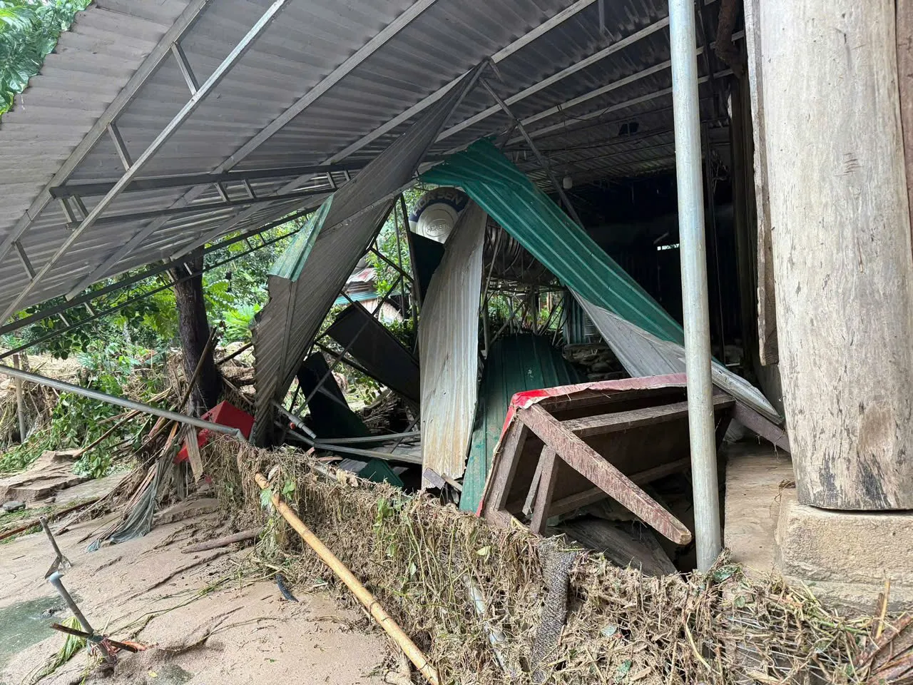 Hình ảnh 2
