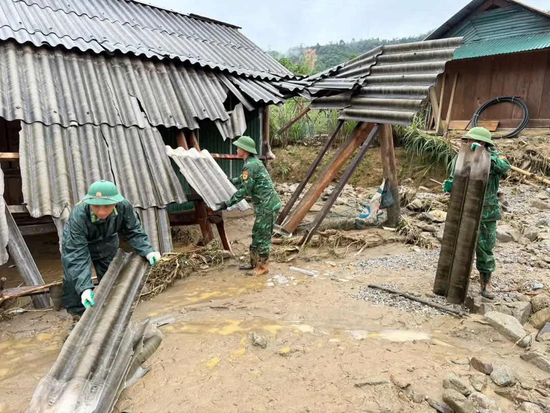 Hình ảnh 6