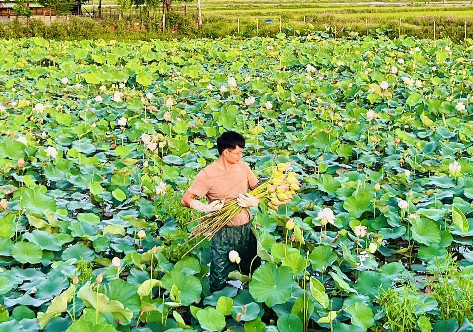 Hình ảnh 7