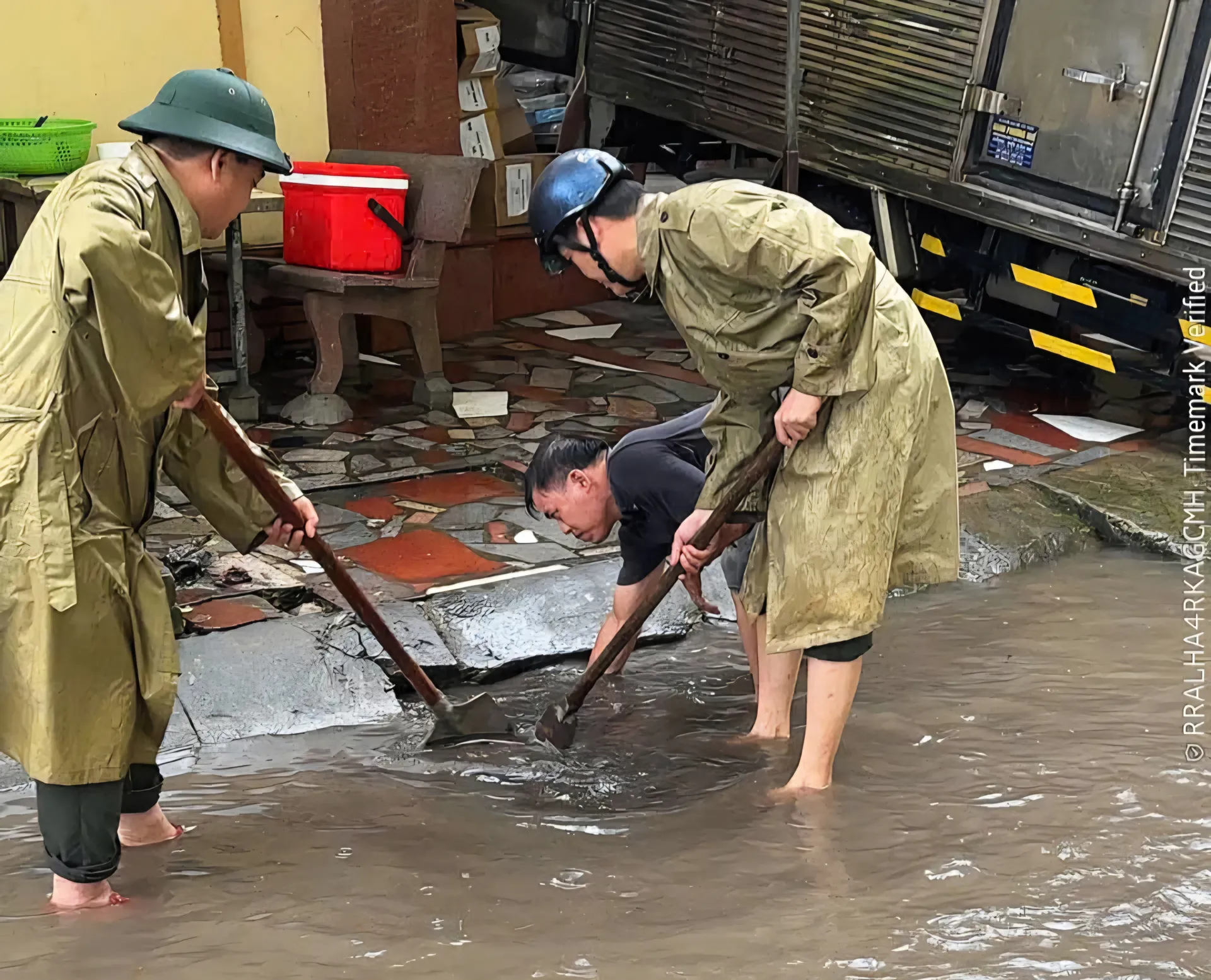 Hình ảnh 1