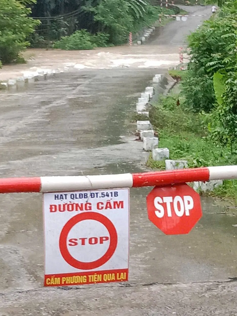 Hình ảnh 2