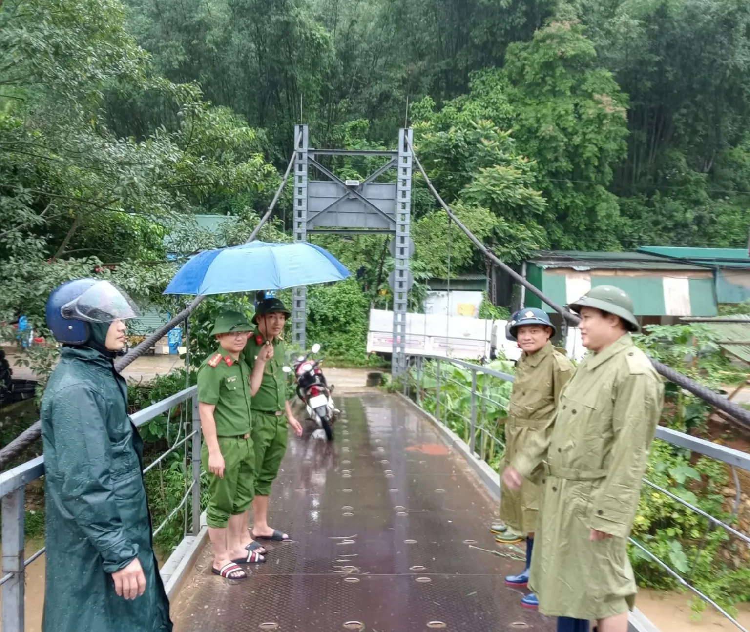 Hình ảnh 3