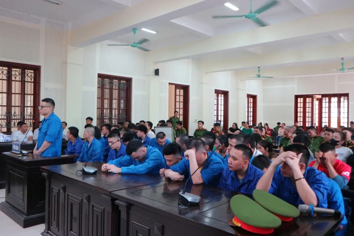 Hình ảnh 2