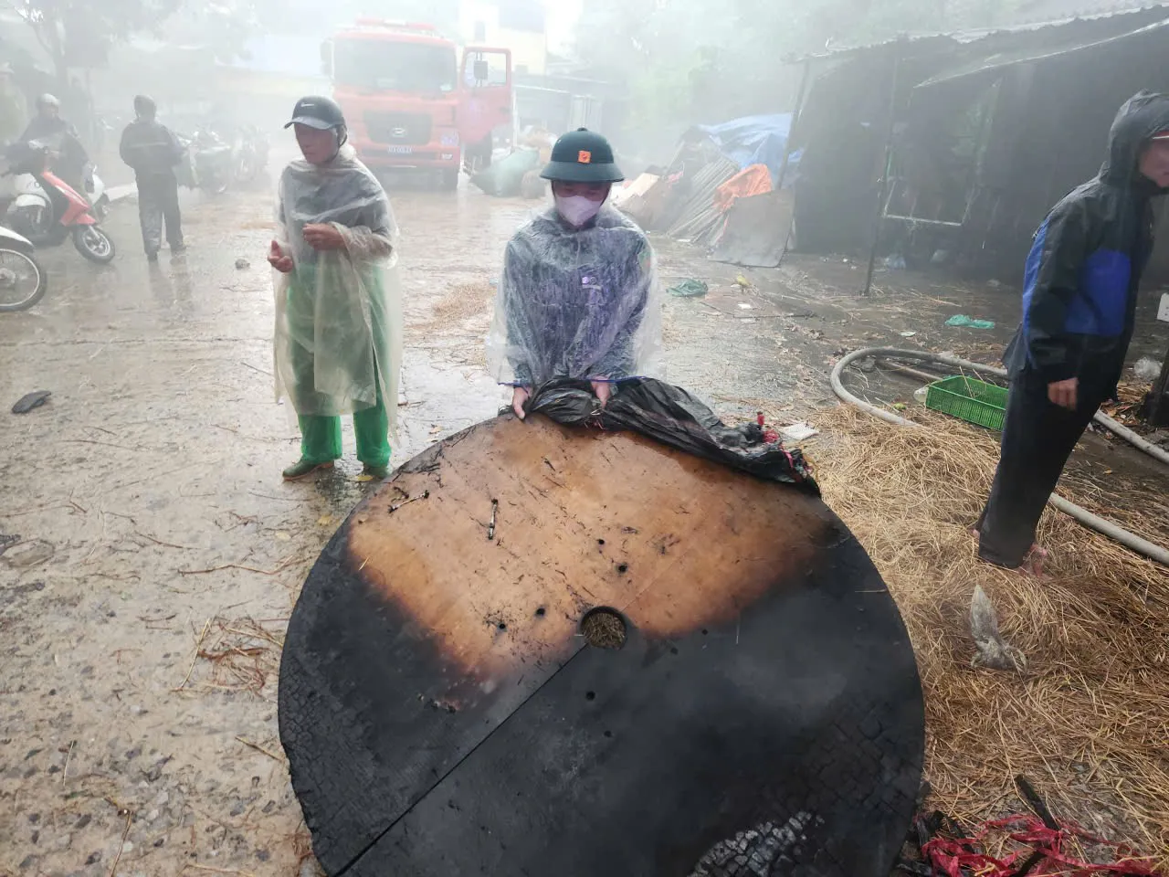 Hình ảnh 5