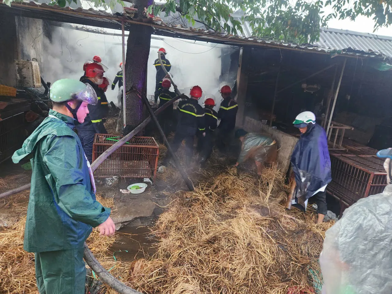 Hình ảnh 4