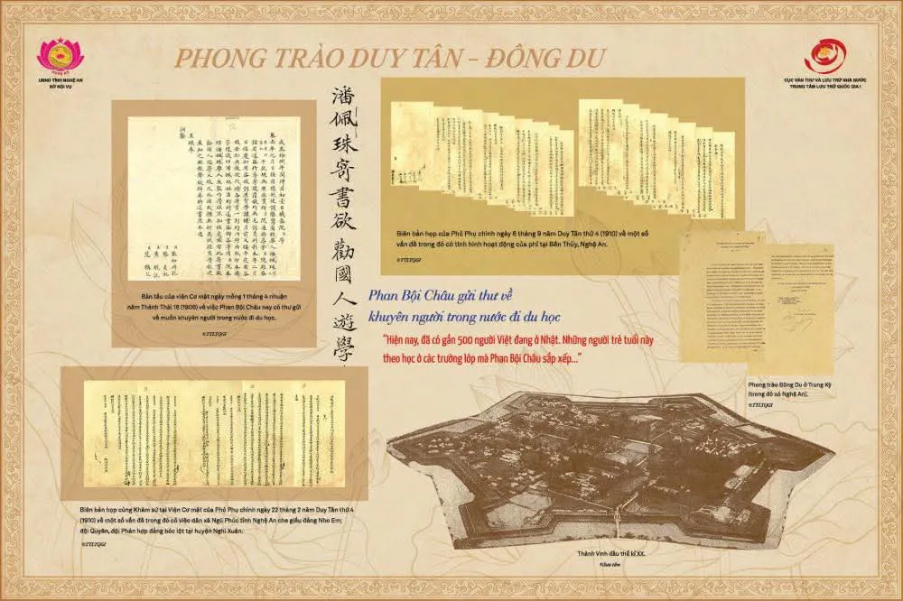 Hình ảnh 8