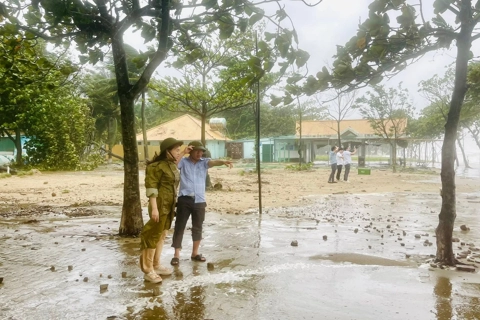 Nghệ An: địa phương ven biển "căng mình" ứng phó bão số 5
