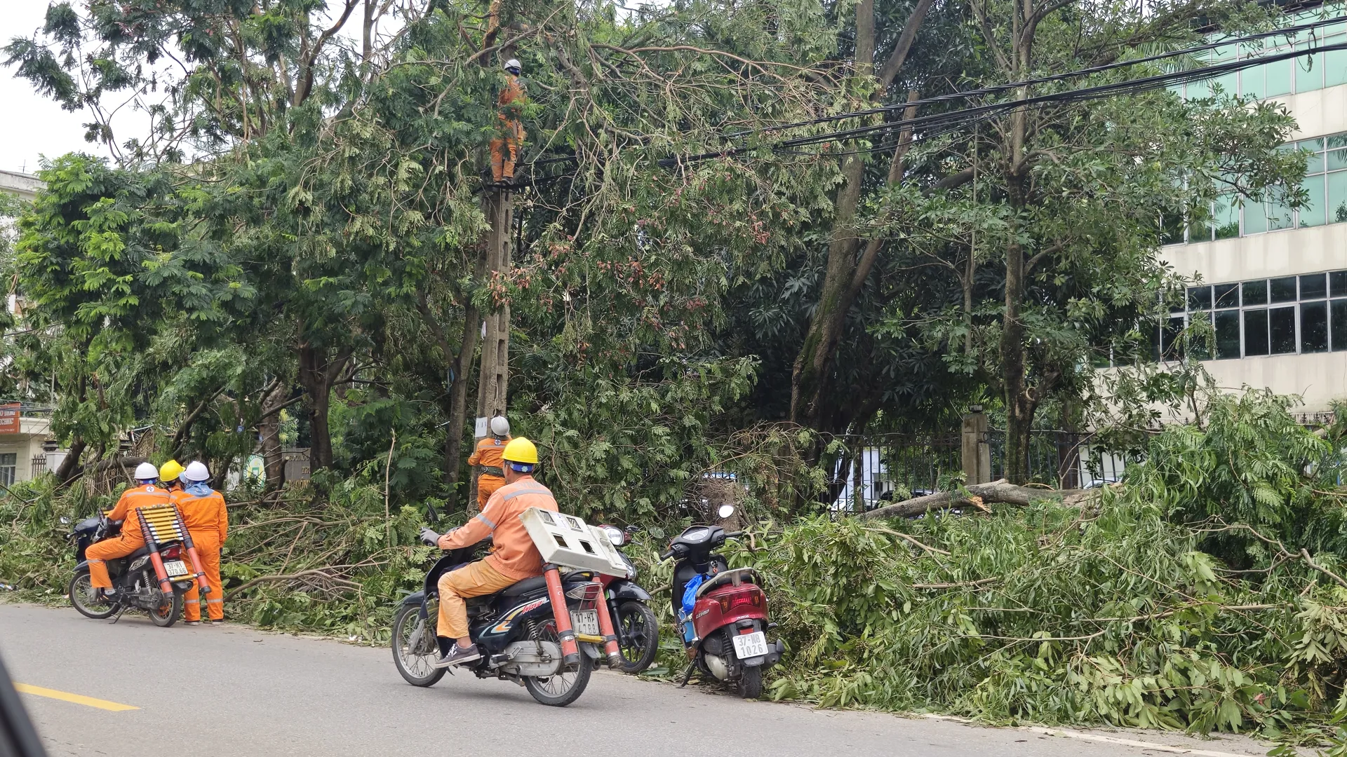 Tỉnh Nghệ An: nỗ lực khắc phục hậu quả sau bão số 5
