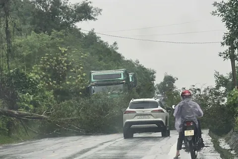 Nghệ An: cấm người dân ra đường trong thời điểm bão đổ bộ